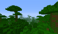 [basicseed] Jungle